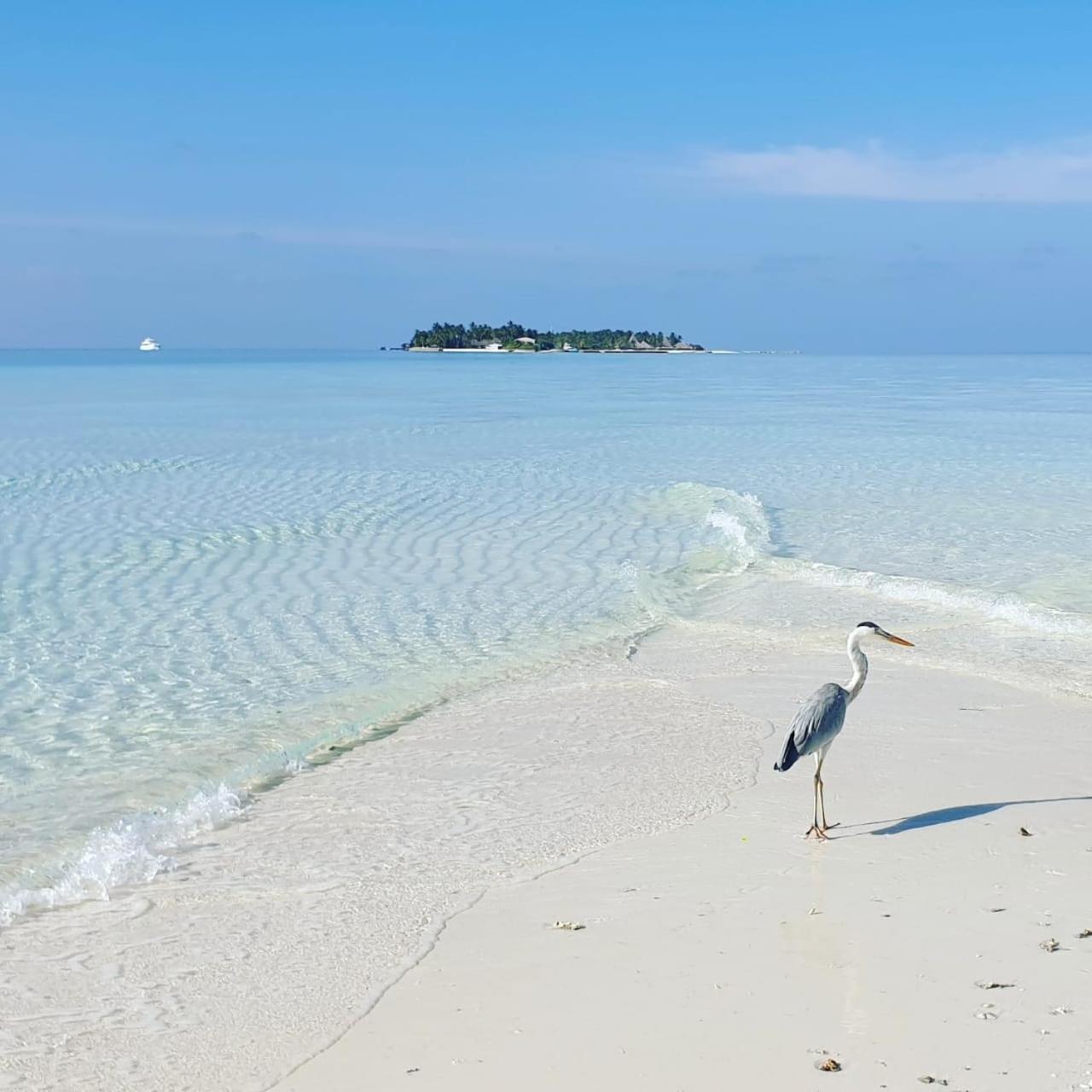 Ukulhas Villa Beach Hotel Eksteriør bilde
